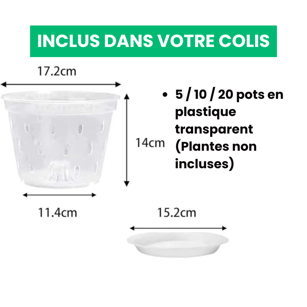 Pots de Culture Transparents Aérés Premium