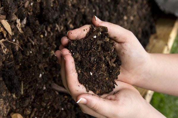 LE SOL DE JARDIN 101 : LES CLÉS POUR UN JARDIN FlEURISSANT 🌱