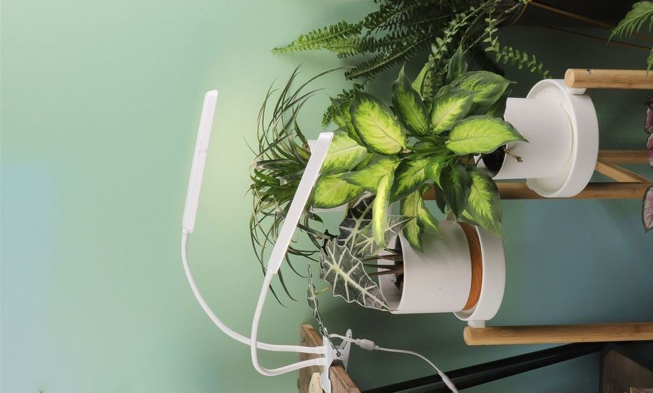 Éclairage Innovant : Dynamiser vos Plantes d'Intérieur avec la Lampe de Croissance Performante