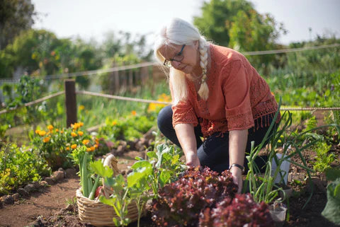 La permaculture : une approche écologique et durable du jardinage