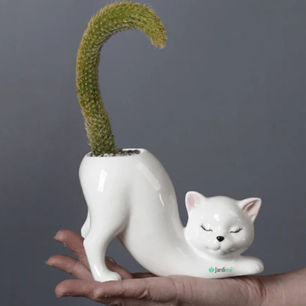 Pot de Fleur Chat Adorable
