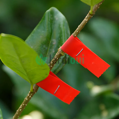 Pince à palisser - Attache branche Révolutionnaire