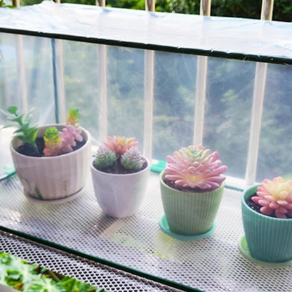 Mini Serre Protectrice Compacte Transparente
