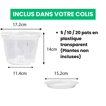 Pots de Culture Transparents Aérés Premium