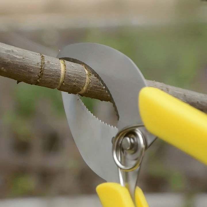 Jardioui 1 Ciseaux (24.90 €/ pcs) Sécateur à Greffer Multifonction Professionnel