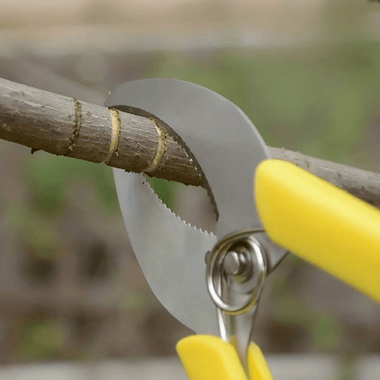 Jardioui 1 Ciseaux (24.90 €/ pcs) Sécateur à Greffer Multifonction Professionnel