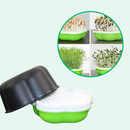 Jardioui 2 Boîtes (24.90 €/ pcs) Plateau de Culture Hydroponique Maison Innovant