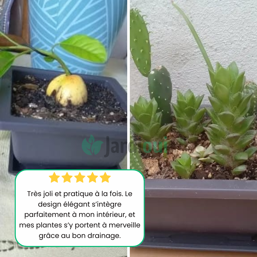 Jardioui Jardinière Rectangulaire Élégante