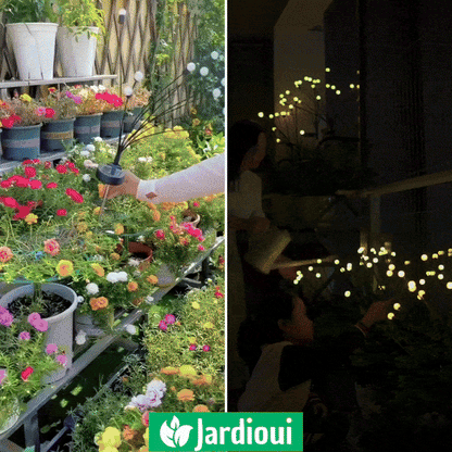 Jardioui Lampes LED Lucioles à Énergie Solaire - Offre Spéciale