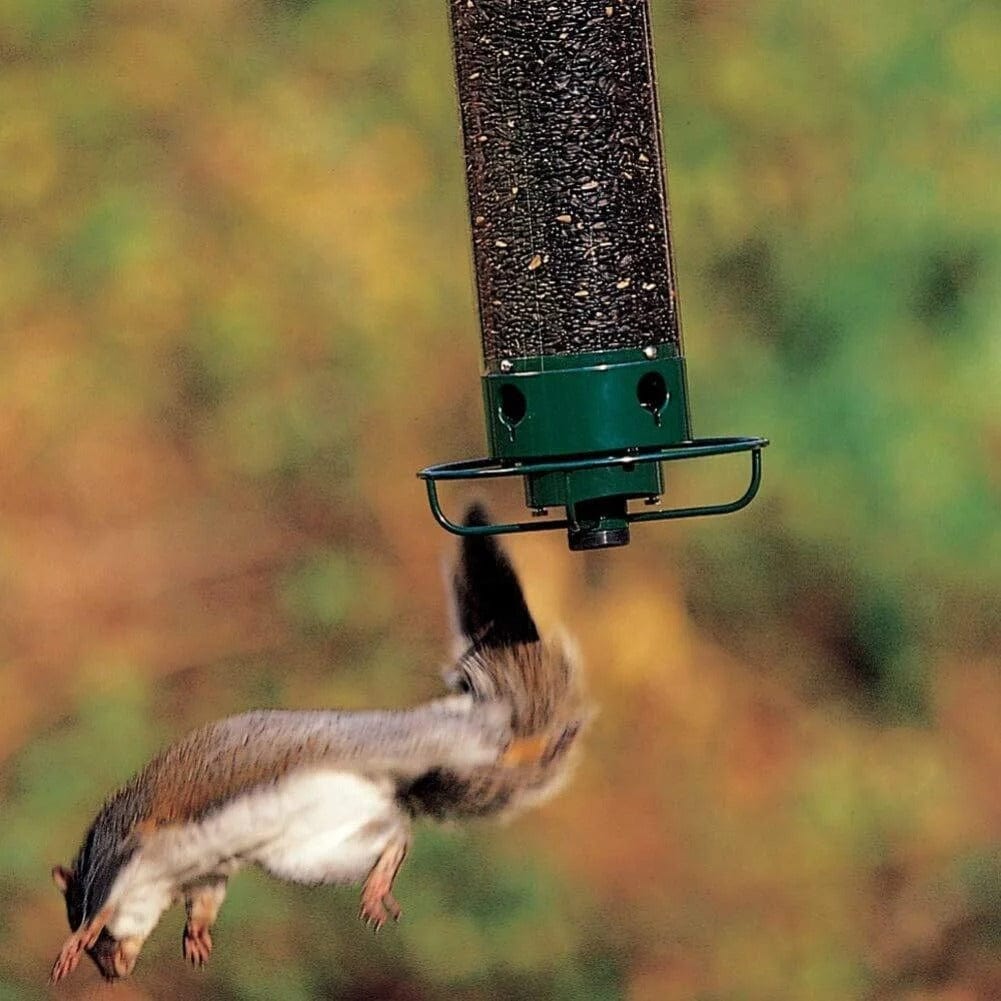 Jardioui Mangeoire Anti-Écureuil Ultime pour Oiseaux