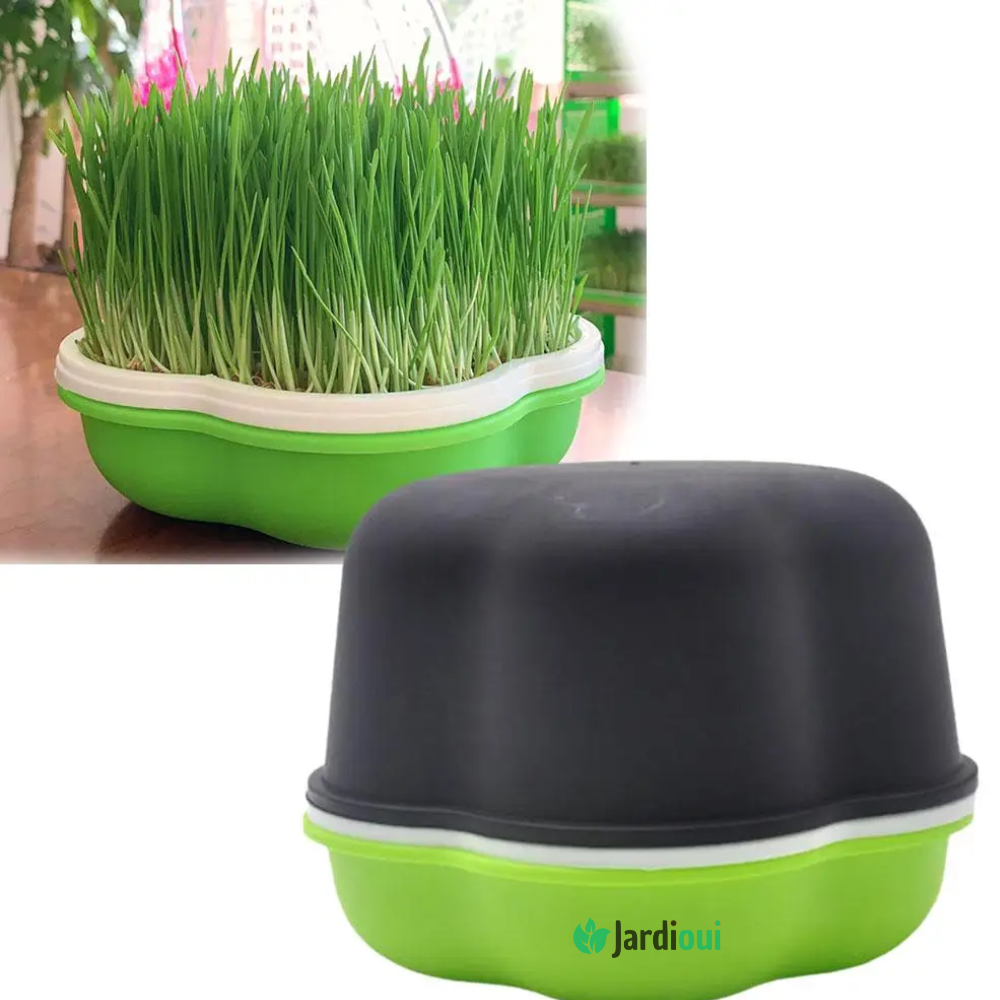 Jardioui Plateau de Culture Hydroponique Maison Innovant