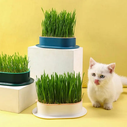 Jardioui Plateau Innovant de Germination+(Sachet d'Herbe à Chat Offert)