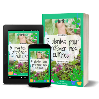 Jardioui 5 plantes pour protéger nos cultures - Livre numérique