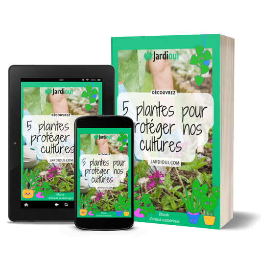 Jardioui 5 plantes pour protéger nos cultures - Livre numérique