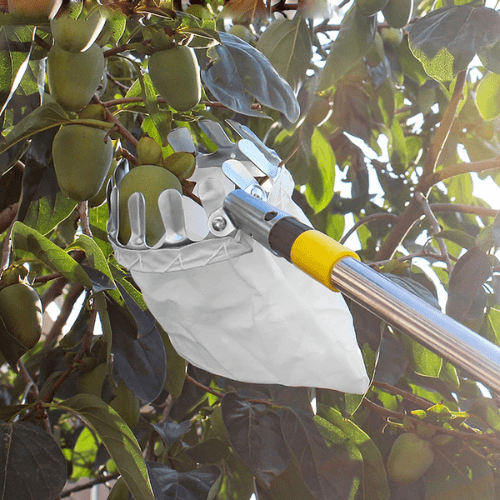 Jardioui 0 Cueilleur de fruits spécial hauteur